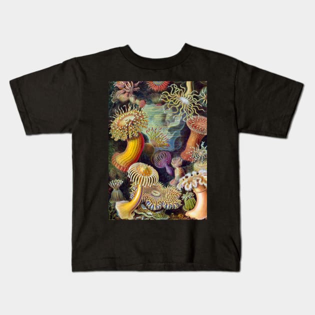 Underwater Creatures Kids T-Shirt by JoolyA